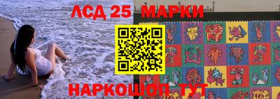 PSILOCYBIN Камышлов