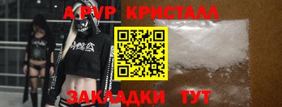 PSILOCYBIN Камышлов